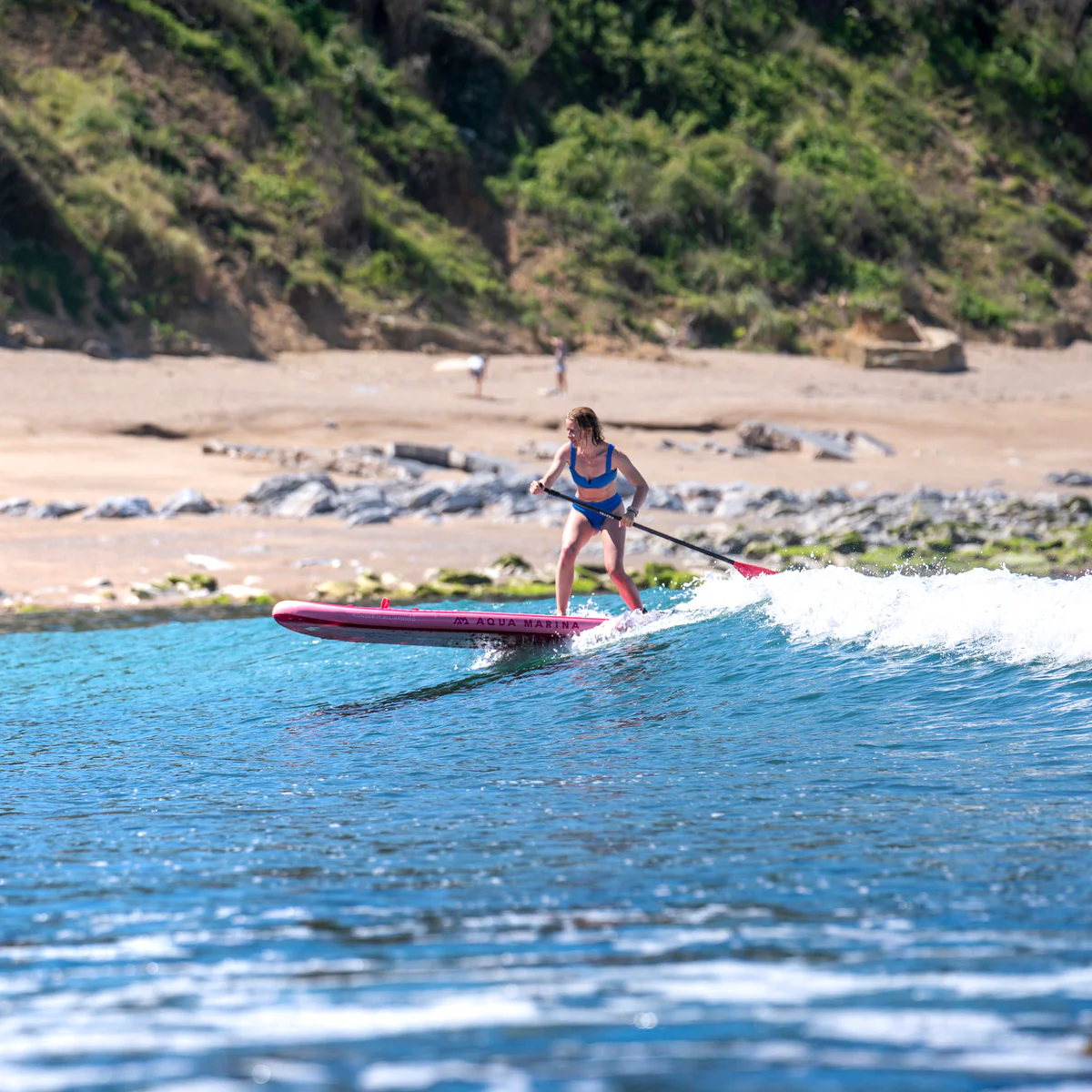 Aqua Marina Coral - Image 30