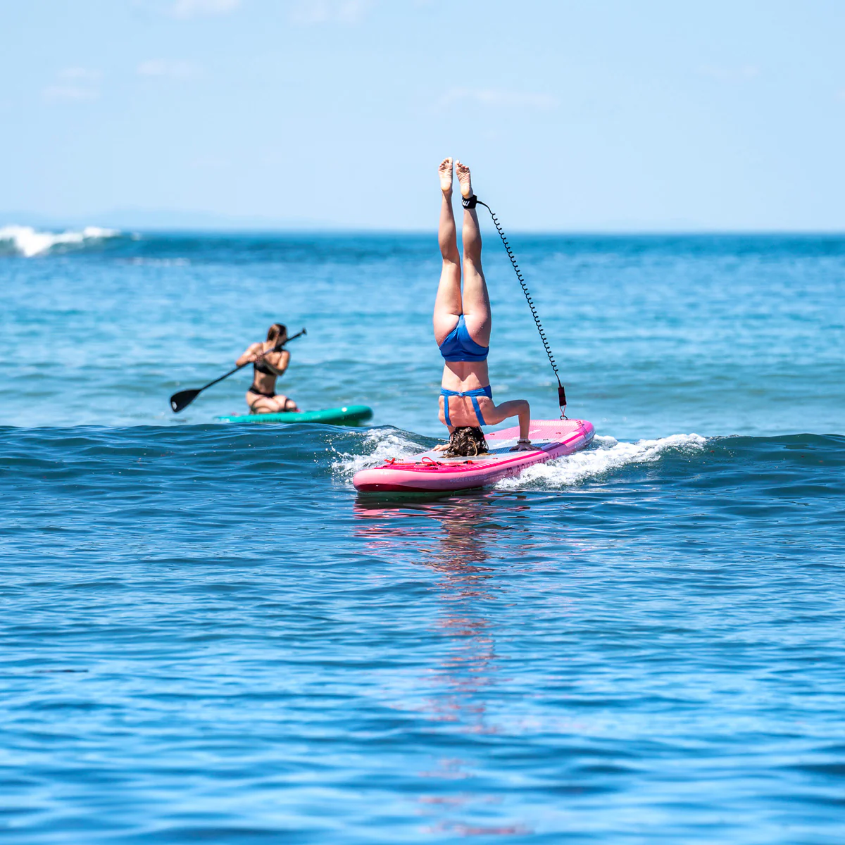 Aqua Marina Coral - Image 32