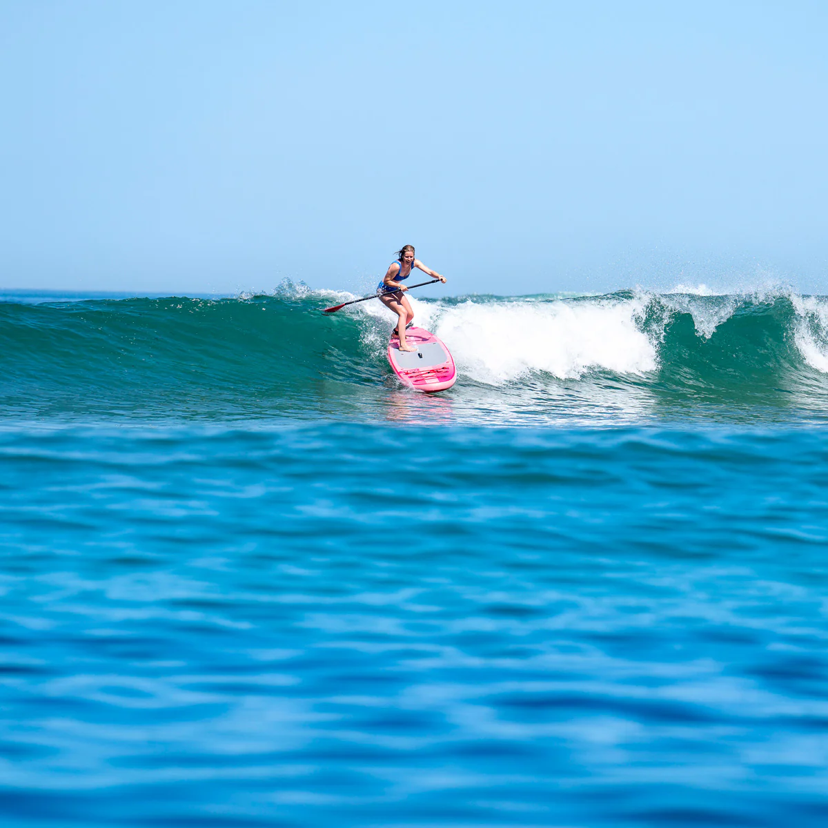 Aqua Marina Coral - Image 37