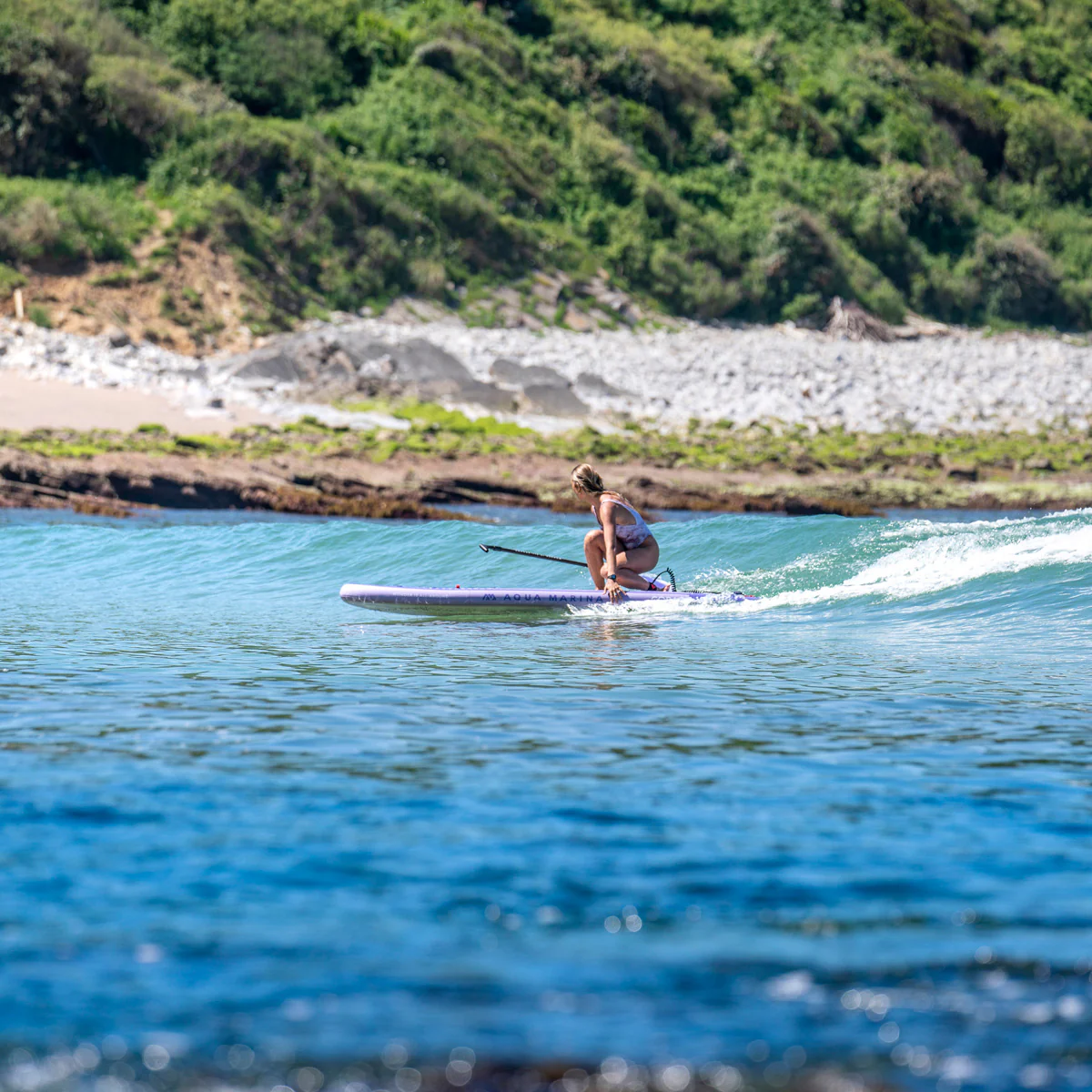 Aqua Marina Coral - Image 41