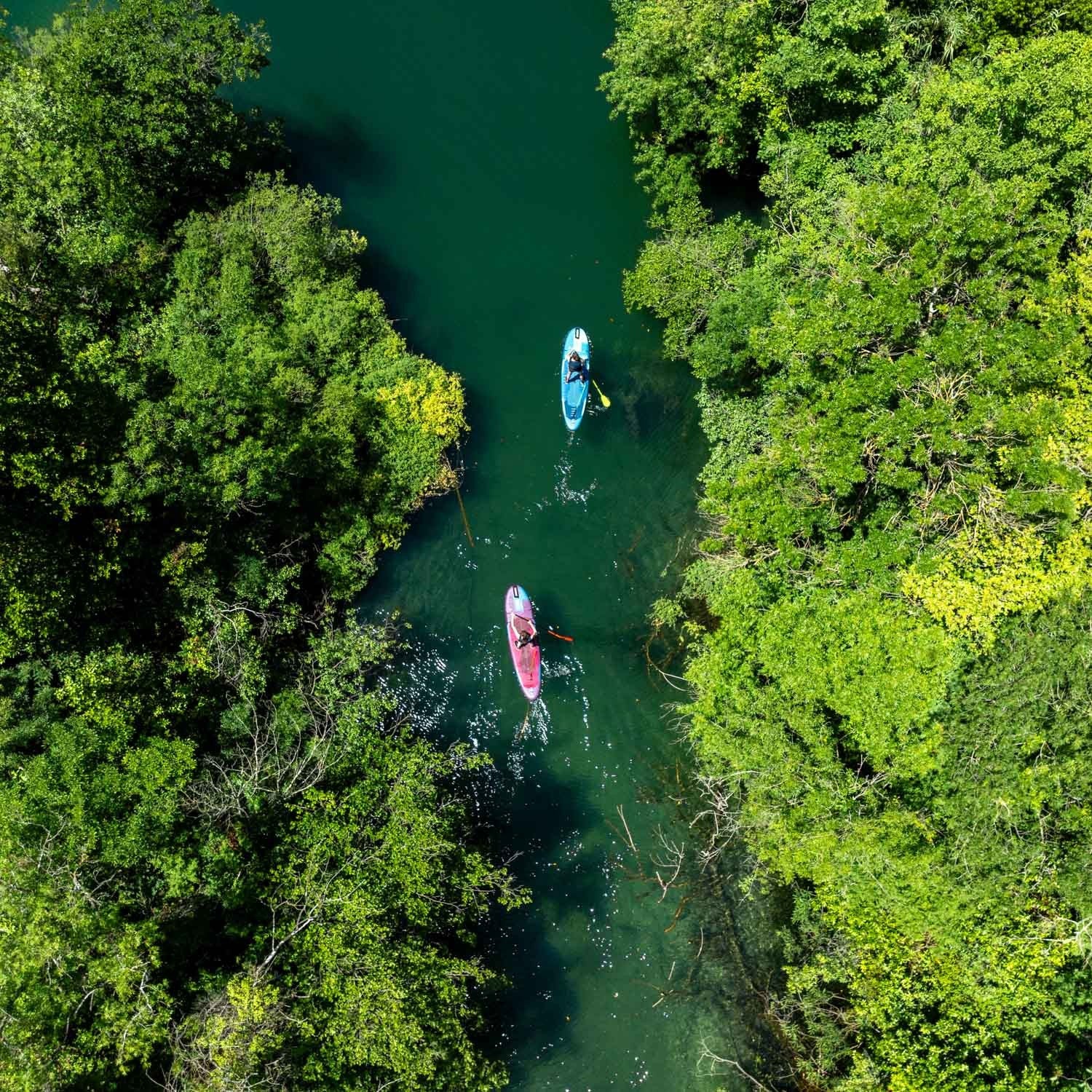 Jobe Yarra - Image 14