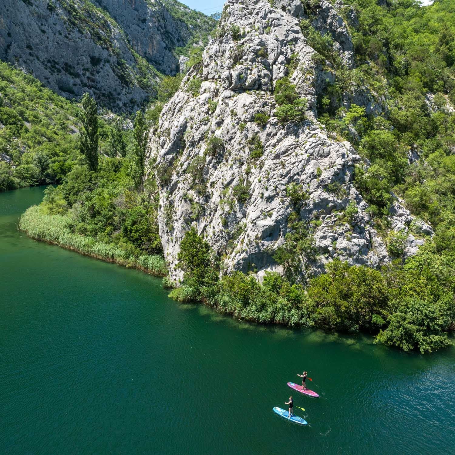 Jobe Yarra - Image 15